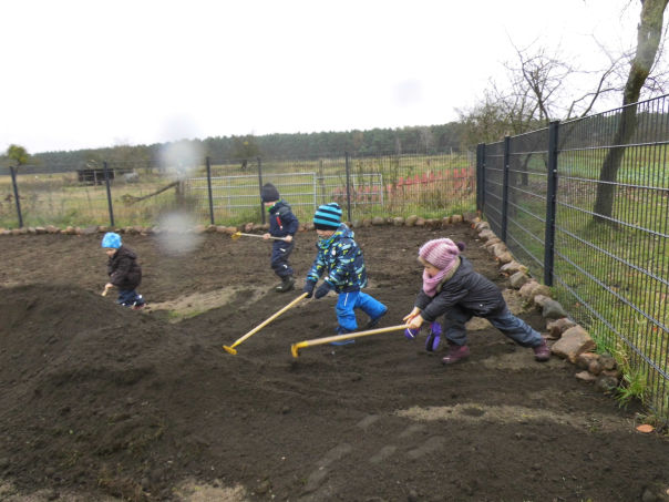 Wildblumenwiese Kneipp-Kita Spatzennest Gross Ziescht