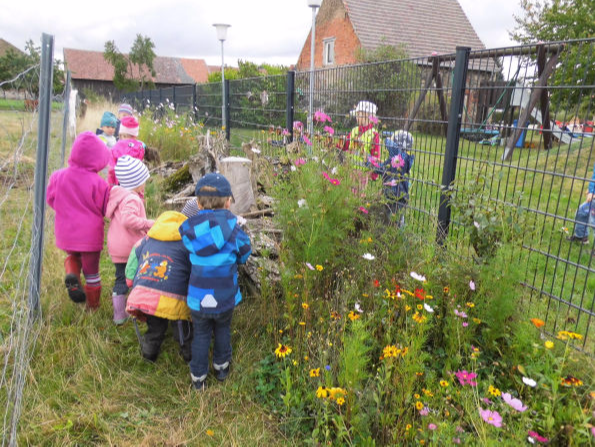 Wildblumenwiese Kneipp-Kita Spatzennest Gross Ziescht