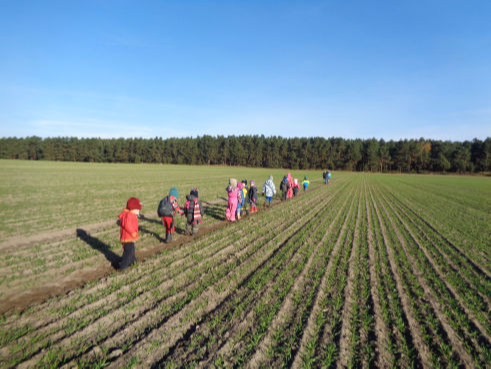 Angebot Waldtag Kneipp-Kita Spatzennest Gross Ziescht